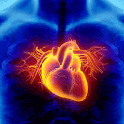 cardiac-disease img