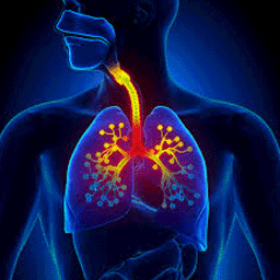 respiratory img